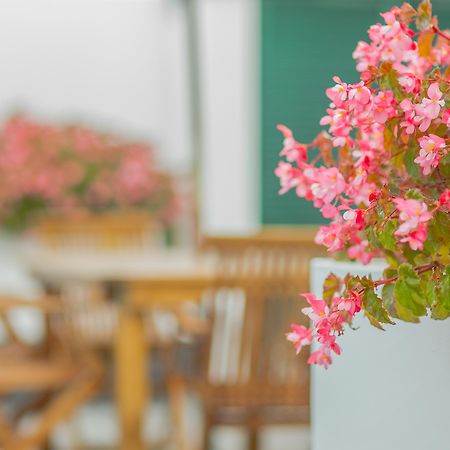 Comercial Boutique Guest House 蓬塔德尔加达 外观 照片