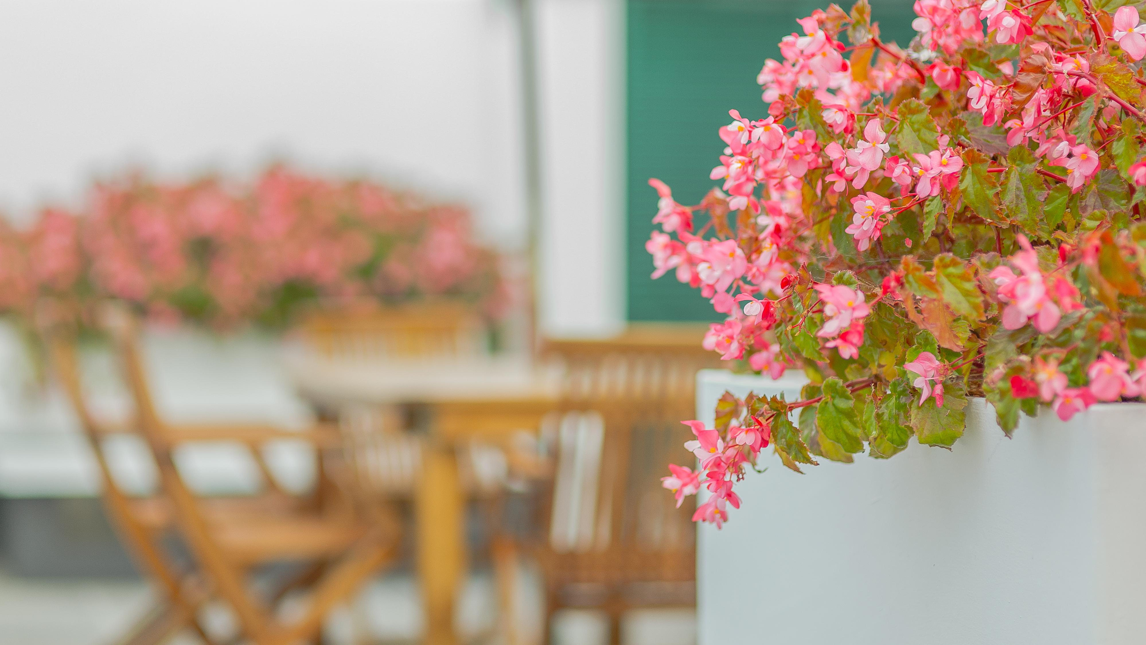 Comercial Boutique Guest House 蓬塔德尔加达 外观 照片